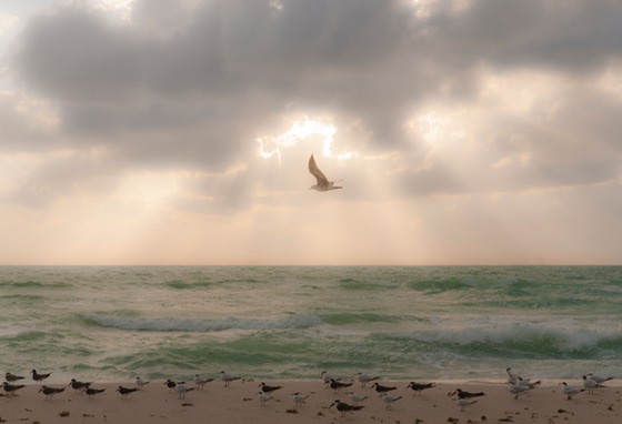 icon photos for book 12OCT13 3481